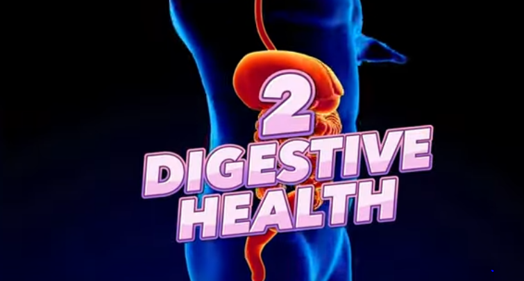 Digestive Health