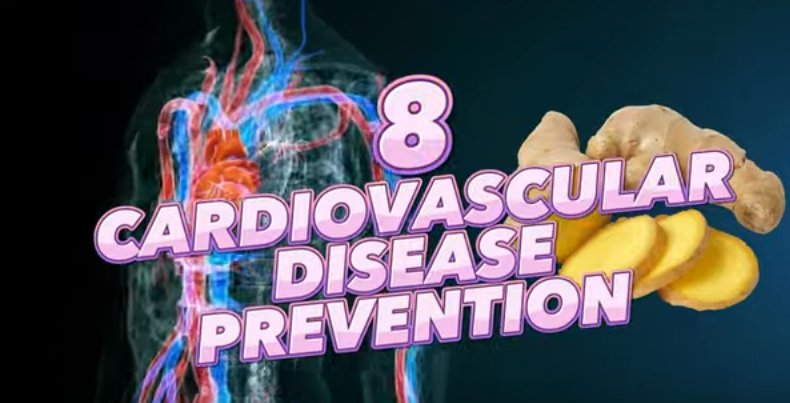 Cardiovascular Disease Prevention