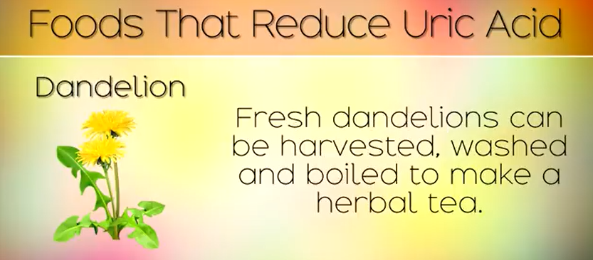 Dandelion tea reducing uric acid