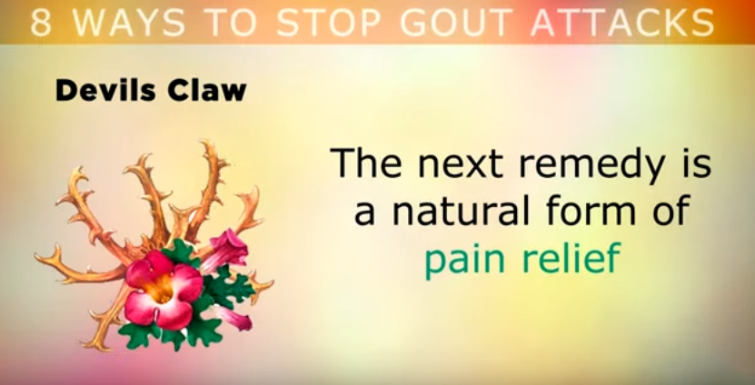 Gout Attacks Devils claw for natural anti-inflammatory action